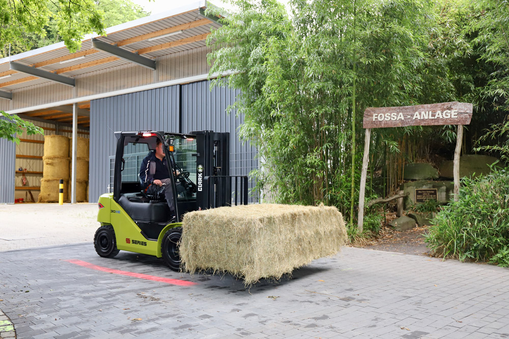 Clark crossover forklift shows its strength at Duisburg Zoo